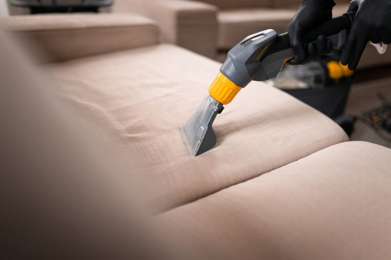 Loveseat Cleaning in Sanford, FL